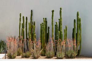 Paradise Valley, AZ, Thursday and Friday April 20th, 21st, 2023, Designer Terese Messina, Archictect Susan Biegner Paradise Valley, AZ, Thursday and Friday April 20th, 21st, 2023, Designer Terese Messina, Archictect Susan Biegner