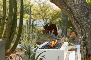 Paradise Valley, AZ, Thursday and Friday April 20th, 21st, 2023, Designer Terese Messina, Archictect Susan Biegner